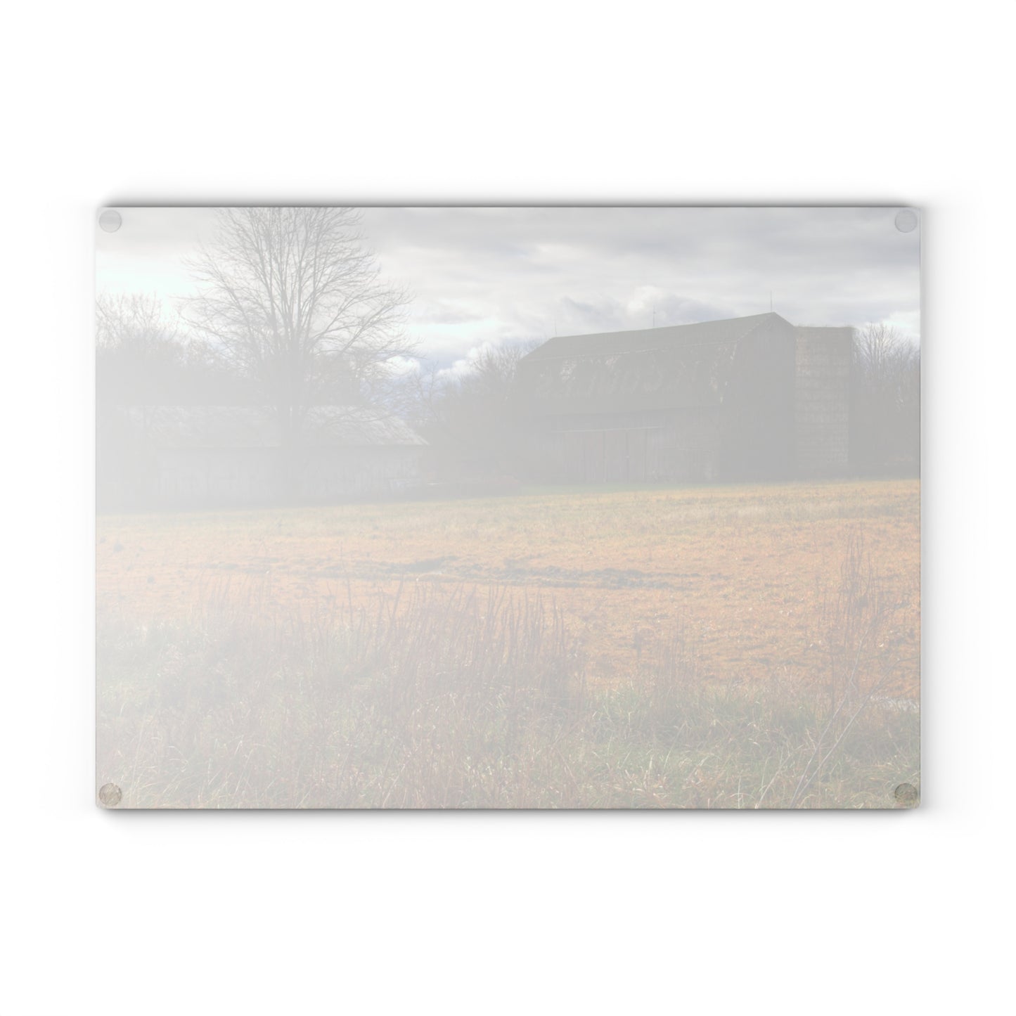 U R There Photography Fields of Golden Clover Rustic Farmhouse Tempered-Glass Cutting Board