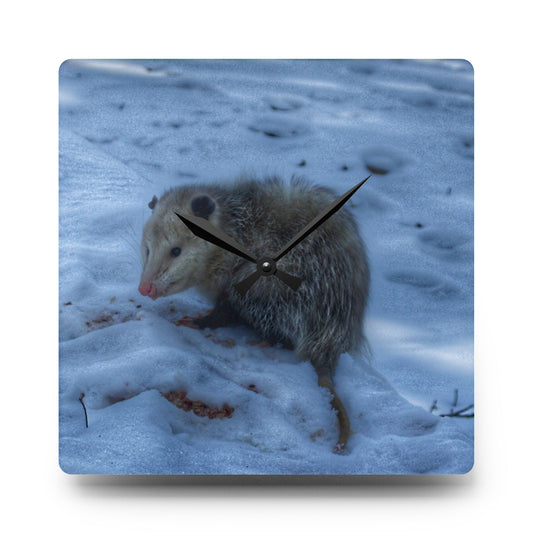 Sutton Road Possum Rustic Farmhouse Acrylic Analog Wall Clock 10.75'' × 10.75'' (Square)