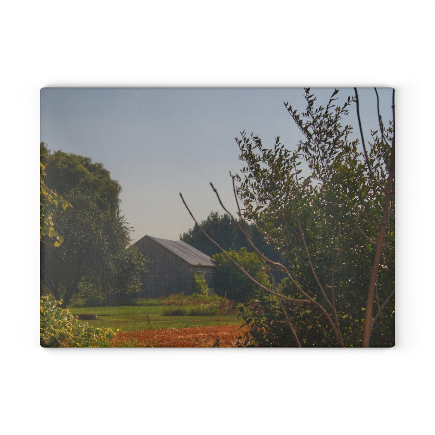 U R There Photography Clifford Hidden Grey Rustic Farmhouse Tempered-Glass Cutting Board