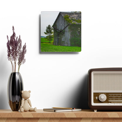 U R There Photography Caro Road Twin Grey II Rustic Farmhouse Acrylic Analog Wall Clock