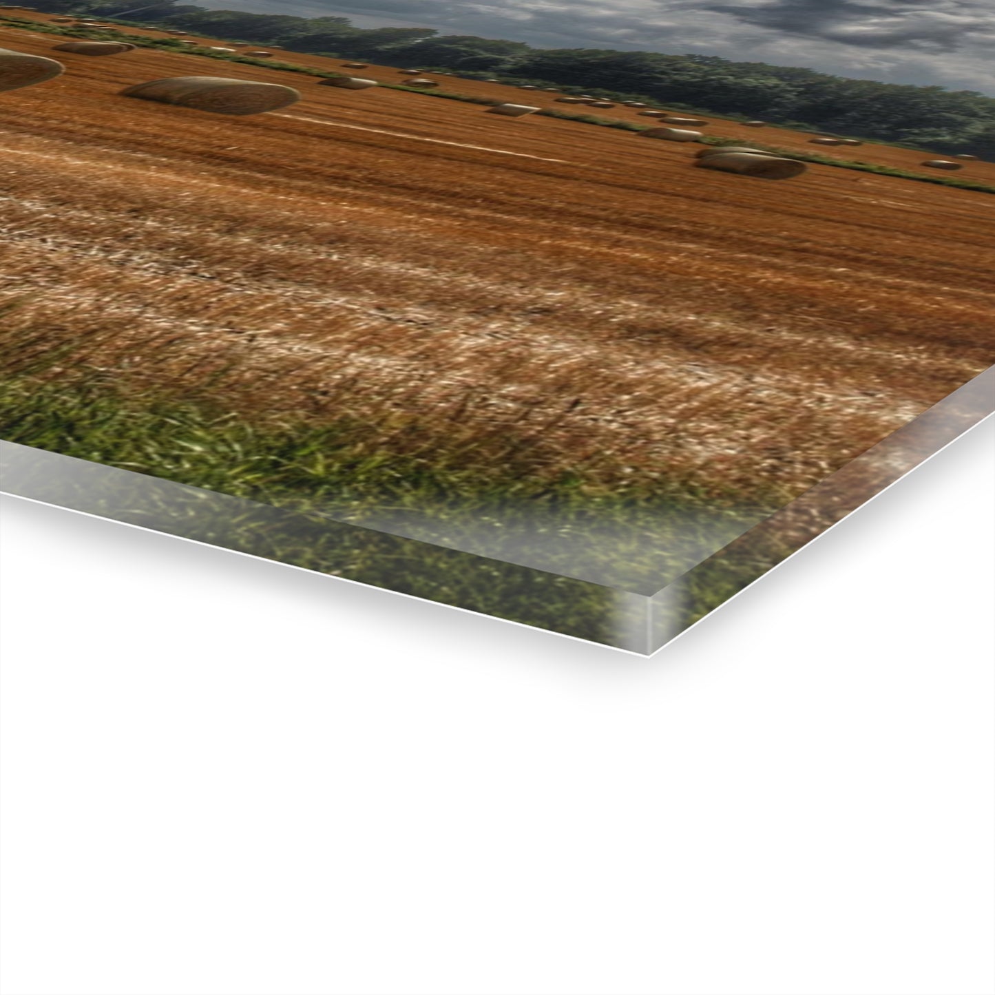 U R There Photography Haybale Heaven Rustic Farmhouse Acrylic Wall Print