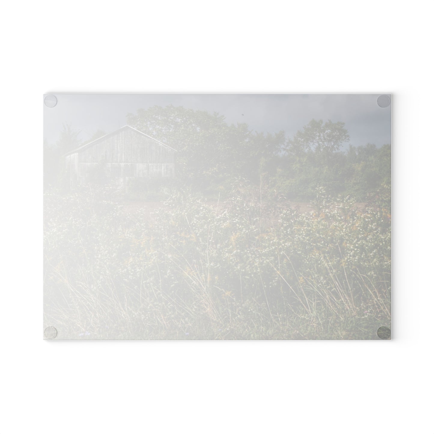 U R There Photography Almont Road Grey Rustic Farmhouse Tempered-Glass Cutting Board