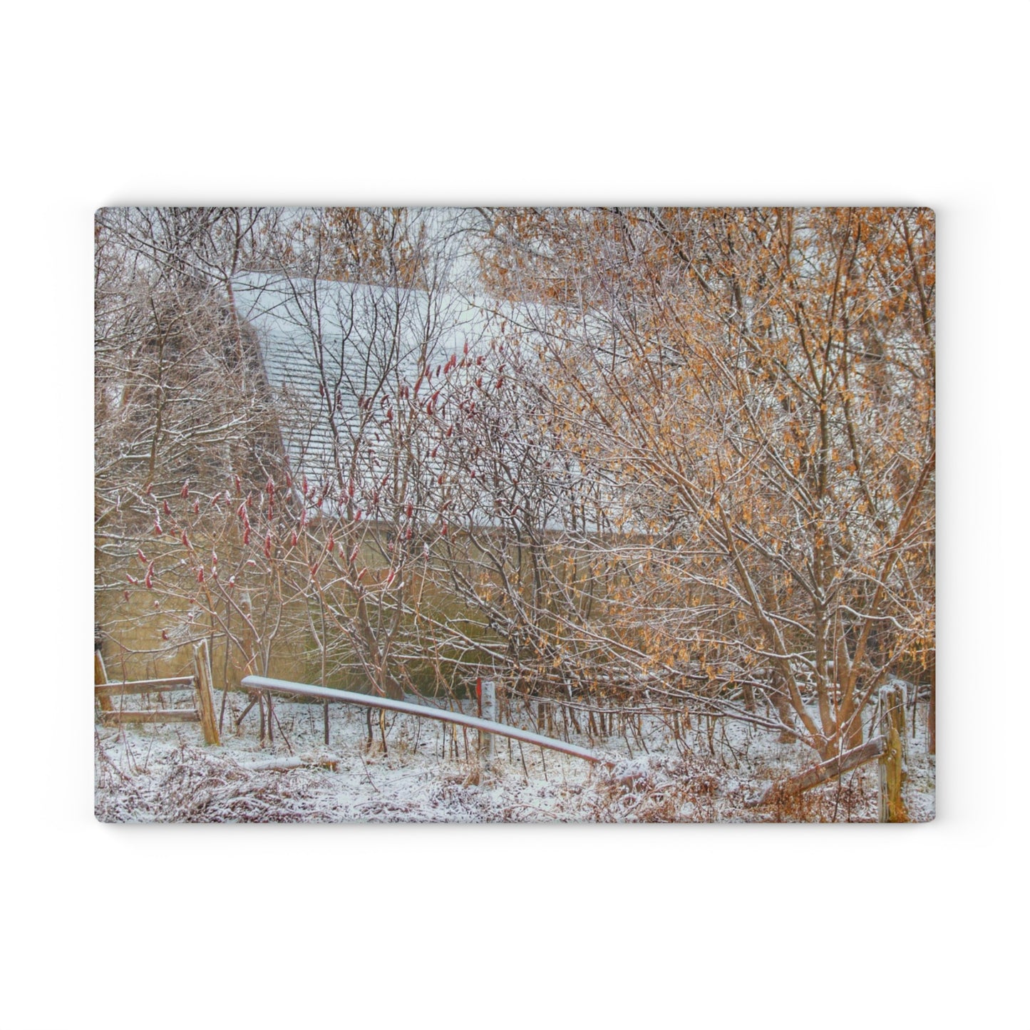 U R There Photography Dryden Road Hidden Winter Grey Rustic Farmhouse Tempered-Glass Cutting Board