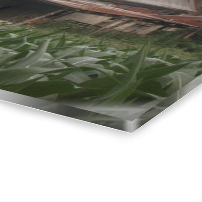 U R There Photography Murphy Lake Road Grey lI Rustic Farmhouse Acrylic Wall Print