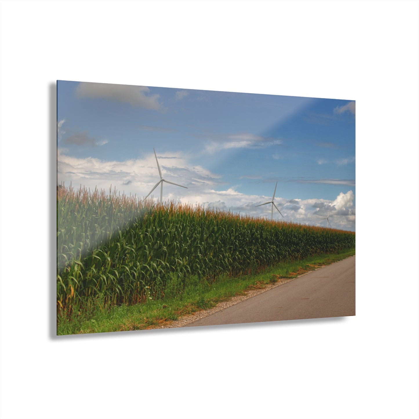 U R There Photography Gilford Road Corn Row Rustic Farmhouse Acrylic Wall Print