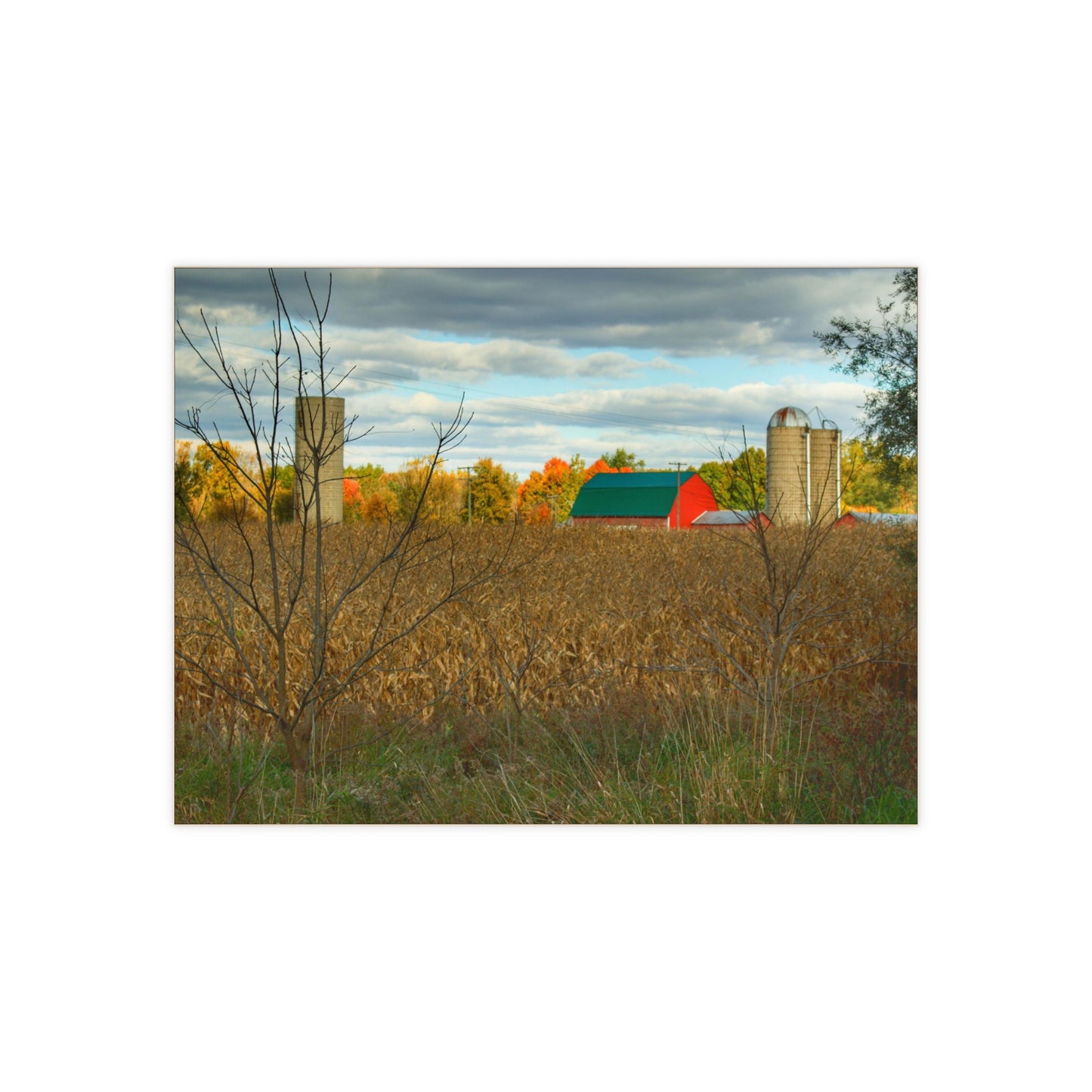 U R There Photography Beyond the Harvest Corn II Rustic Farmhouse Decorative Ceramic Tile