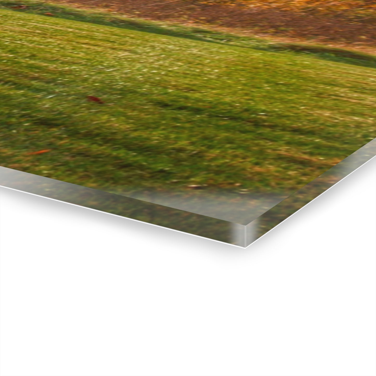 U R There Photography Invitational Drive Red Rustic Farmhouse Acrylic Wall Print