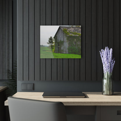 U R There Photography Caro Road Twin Grey I Rustic Farmhouse Acrylic Wall Print