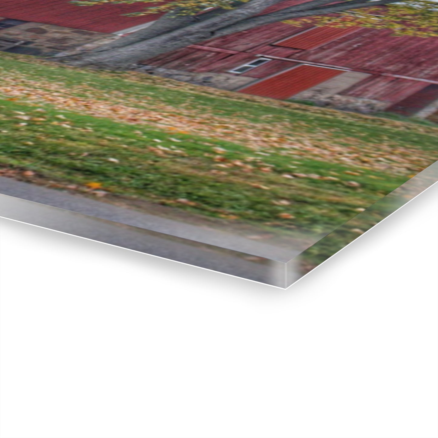 U R There Photography Mayville Lapeer Road Red in the Fall Rustic Farmhouse Acrylic Wall Print