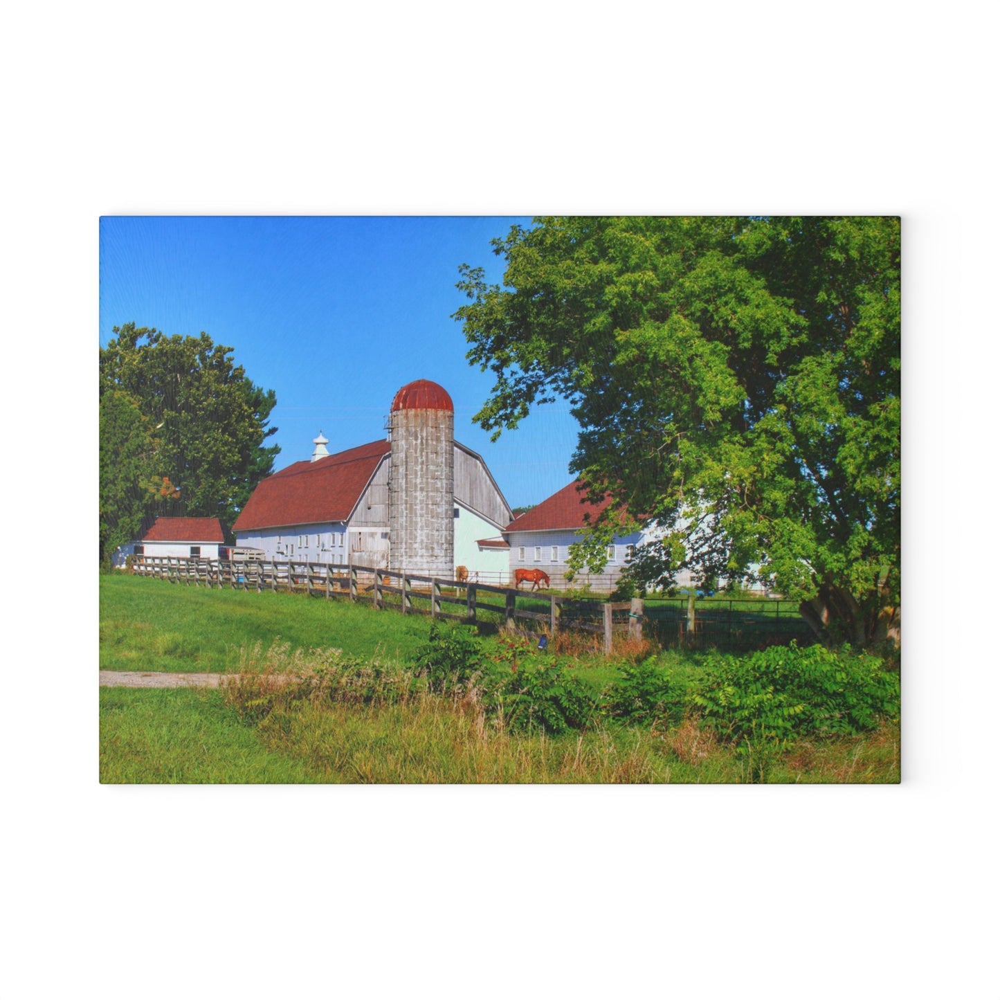 U R There Photography Vienna Roadside White Rustic Farmhouse Tempered-Glass Cutting Board