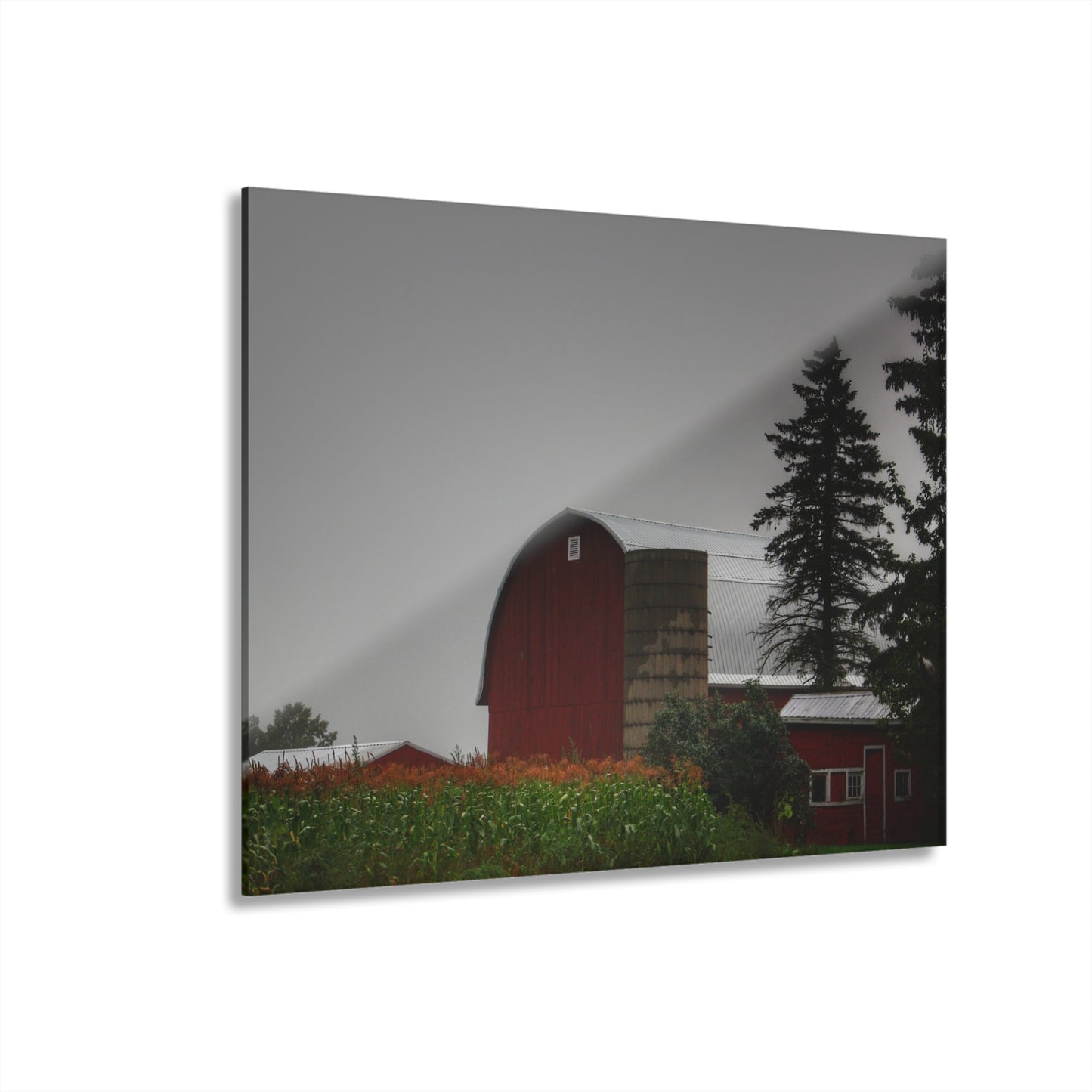 U R There Photography Beyond the Fog on Haines Rustic Farmhouse Acrylic Wall Print