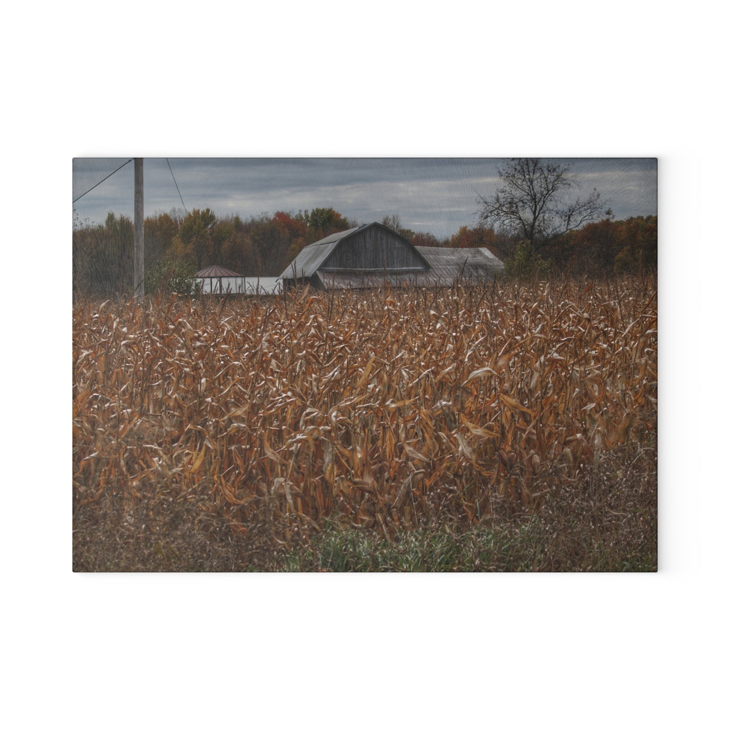 U R There Photography North State Road Grey Rustic Farmhouse Tempered-Glass Cutting Board 8"x 11"