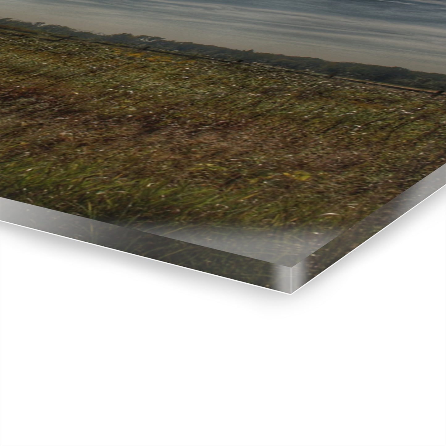 U R There Photography Mushroom Road Red I Rustic Farmhouse Acrylic Wall Print