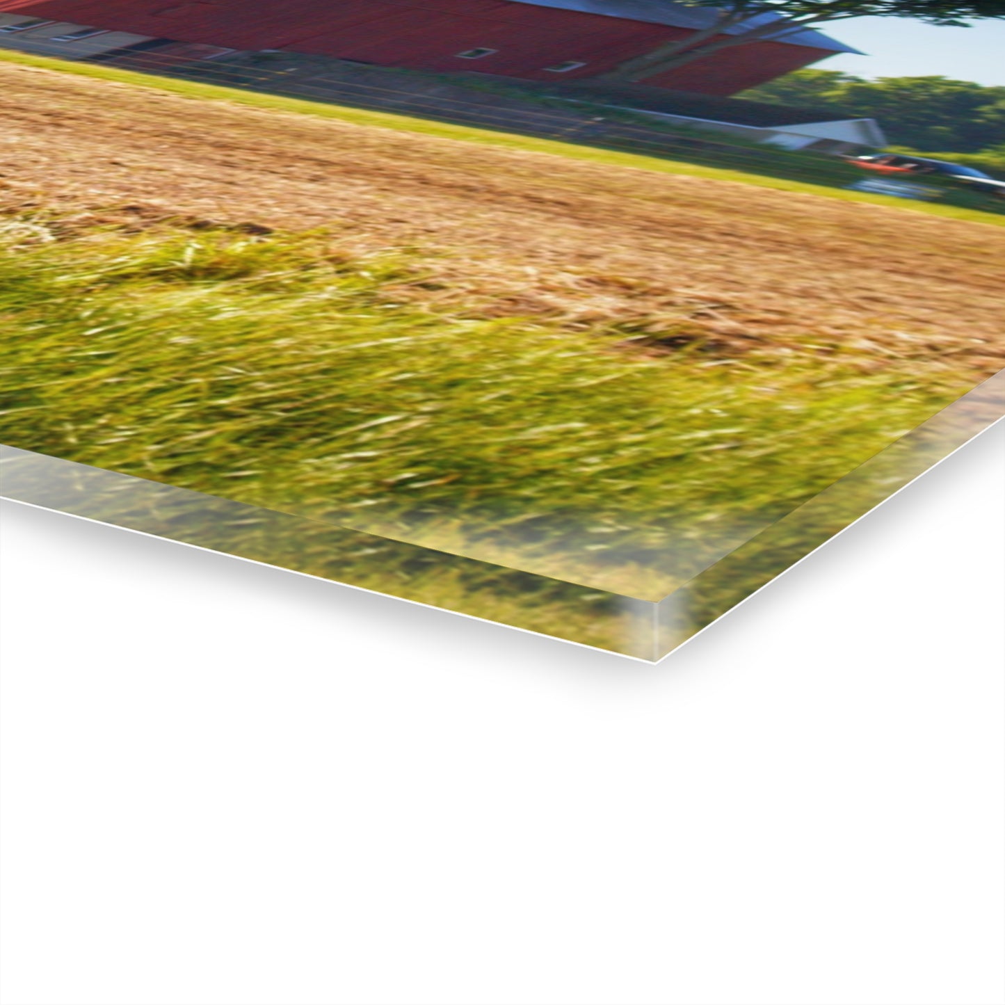 U R There Photography Morris Road Red Rustic Farmhouse Acrylic Wall Print