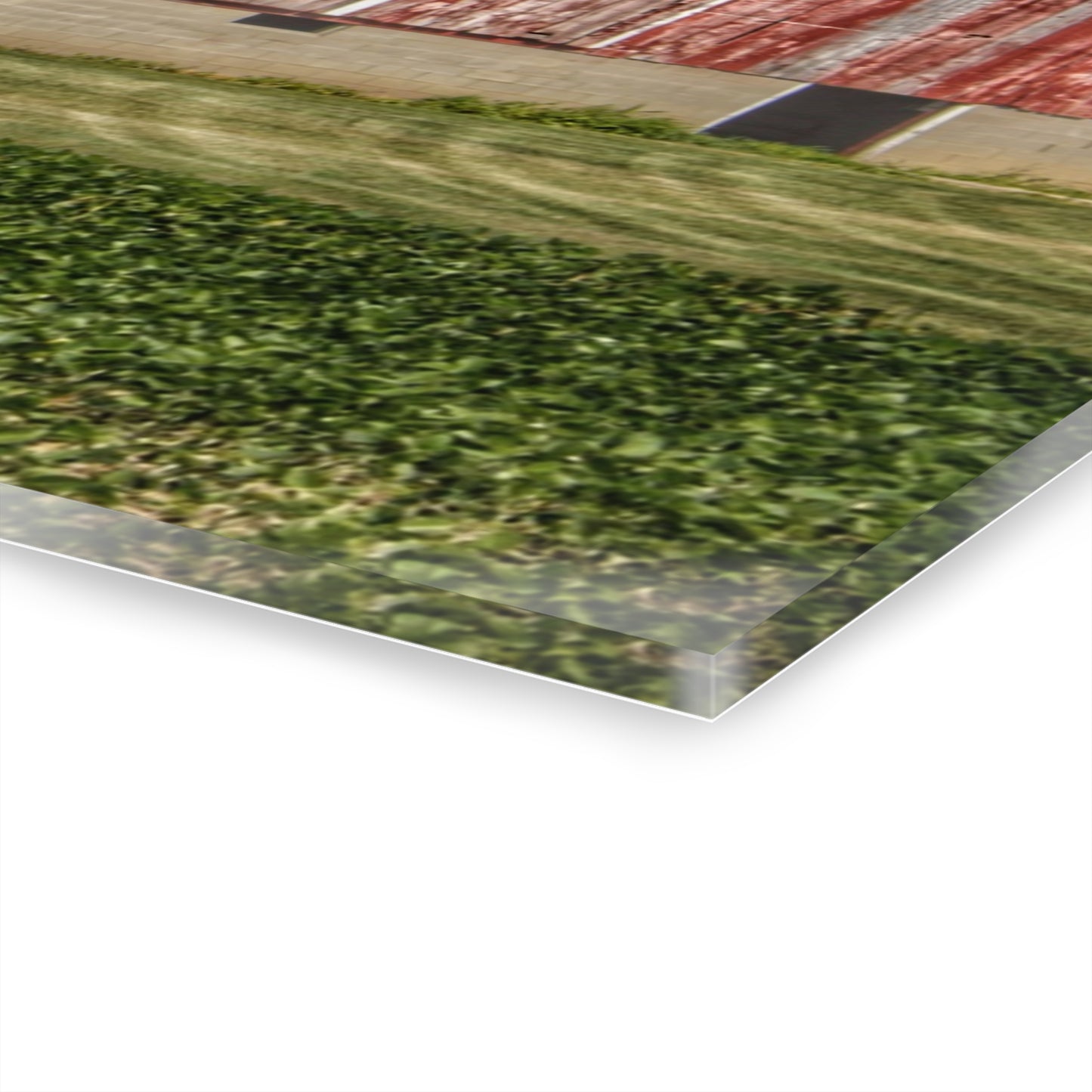 U R There Photography Lake Pleasant Corral Red I Rustic Farmhouse Acrylic Wall Print