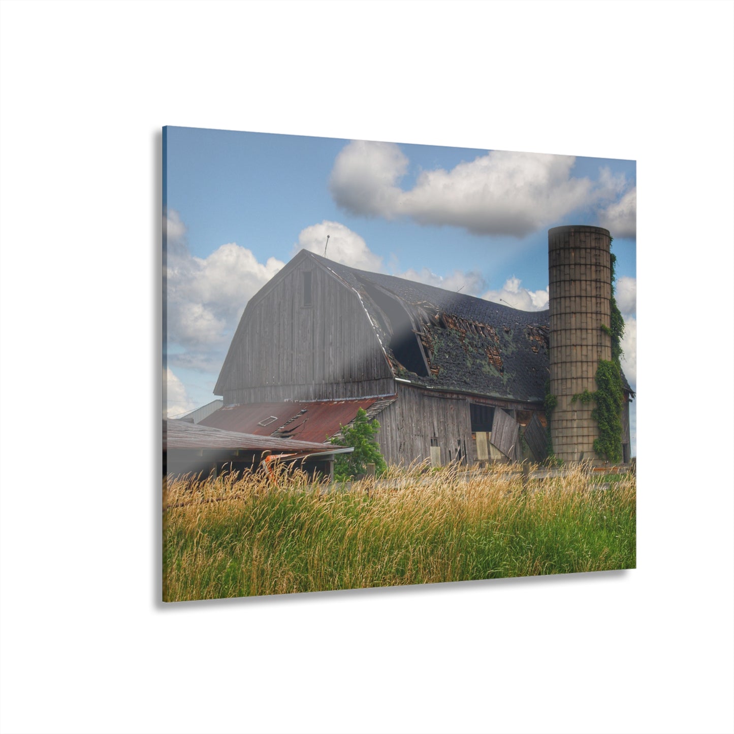U R There Photography Millington Forgotten Grey Rustic Farmhouse Acrylic Wall Print