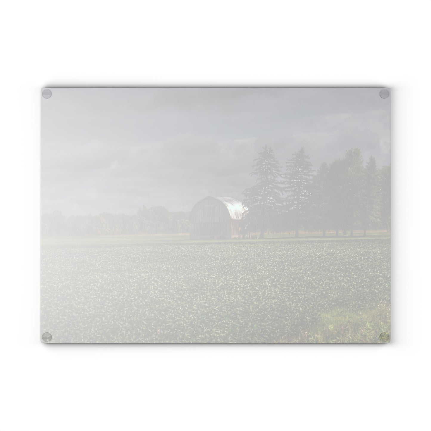 U R There Photography Belsay Grey Among the Pines Rustic Farmhouse Tempered-Glass Cutting Board
