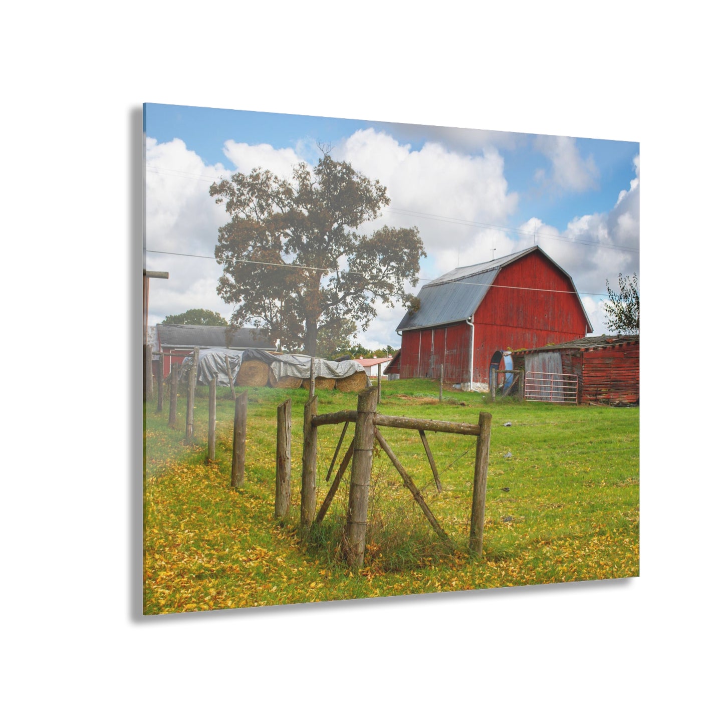 U R There Photography Beyond the Fence on Frances Road Rustic Farmhouse Acrylic Wall Print