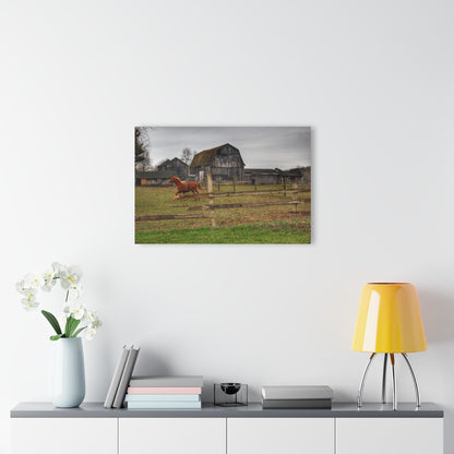 U R There Photography South Summers Road Old Grey and Caramel III Rustic Farmhouse Acrylic Wall Print