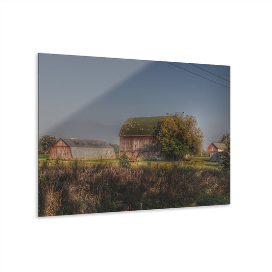 U R There Photography Summers Road Reds Rustic Farmhouse Acrylic Wall Print