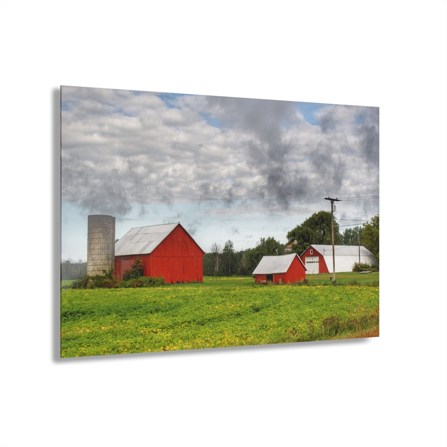 U R There Photography Kingston Road Trio II Rustic Farmhouse Acrylic Wall Print