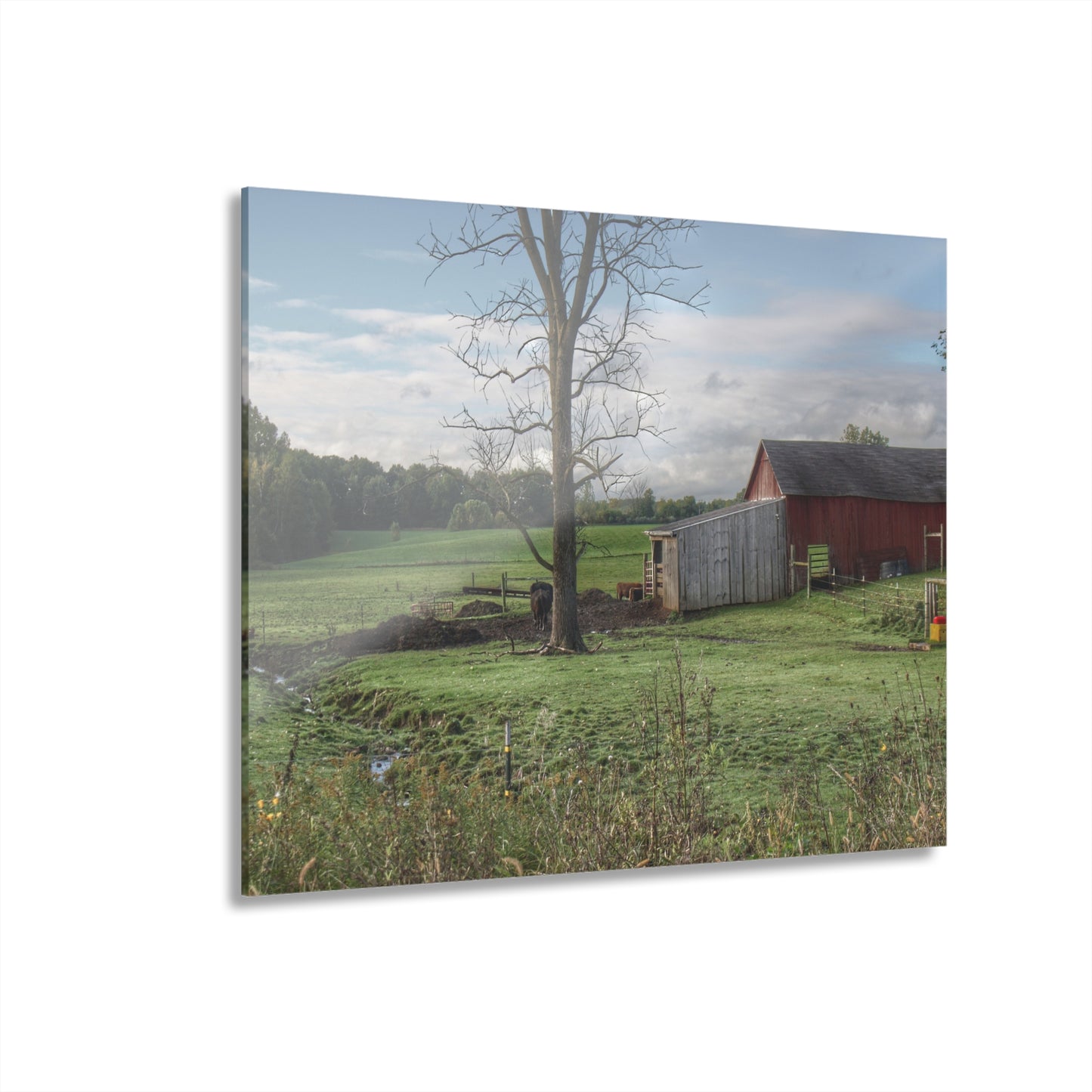 U R There Photography West Oregon Road Hidden Red III Rustic Farmhouse Acrylic Wall Print