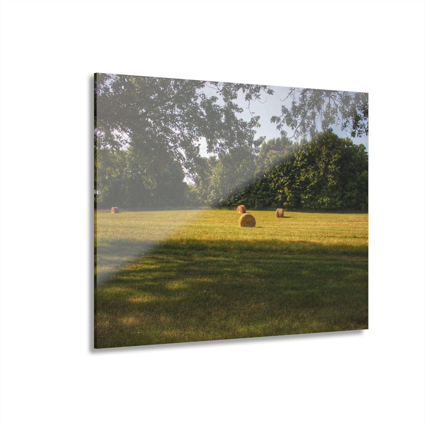 U R There Photography Summer Haybales I Rustic Farmhouse Acrylic Wall Print
