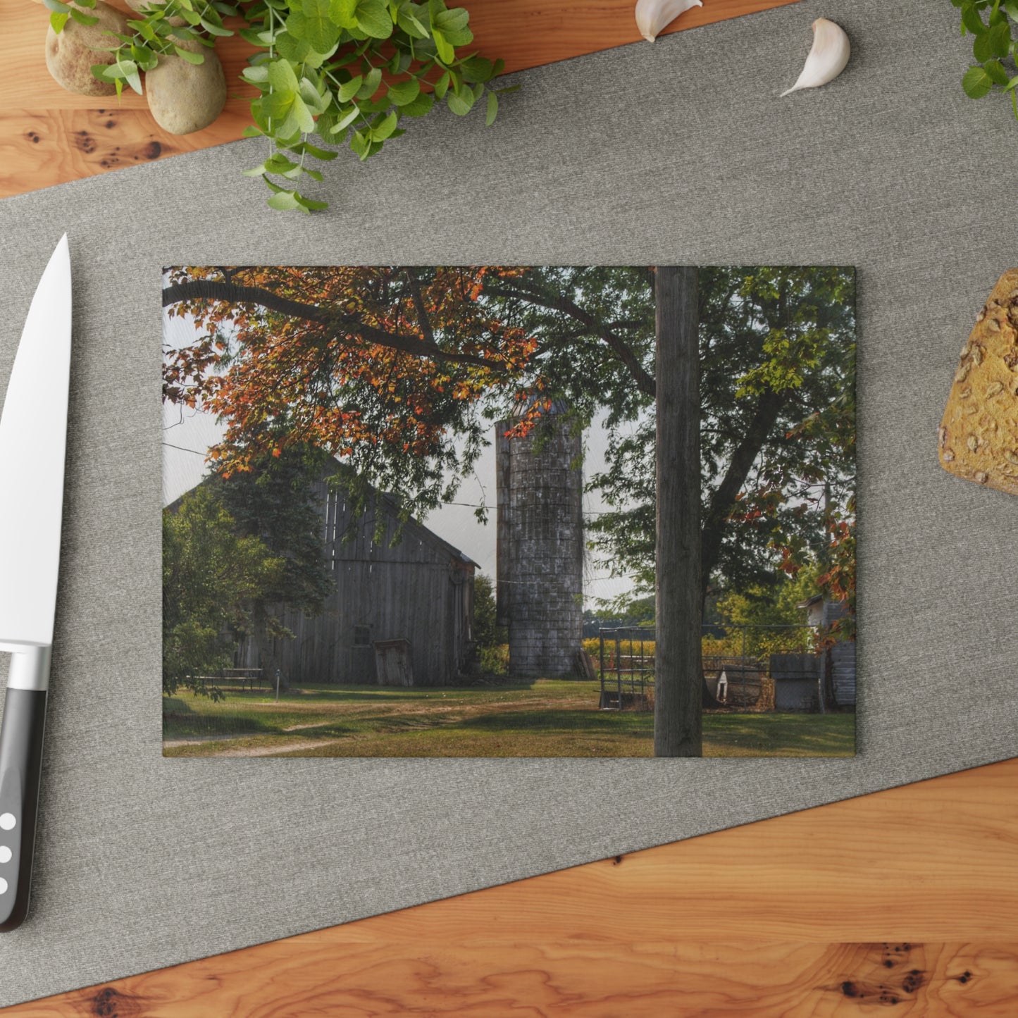 U R There Photography Hidden Grey of Tuscola Rustic Farmhouse Tempered-Glass Cutting Board