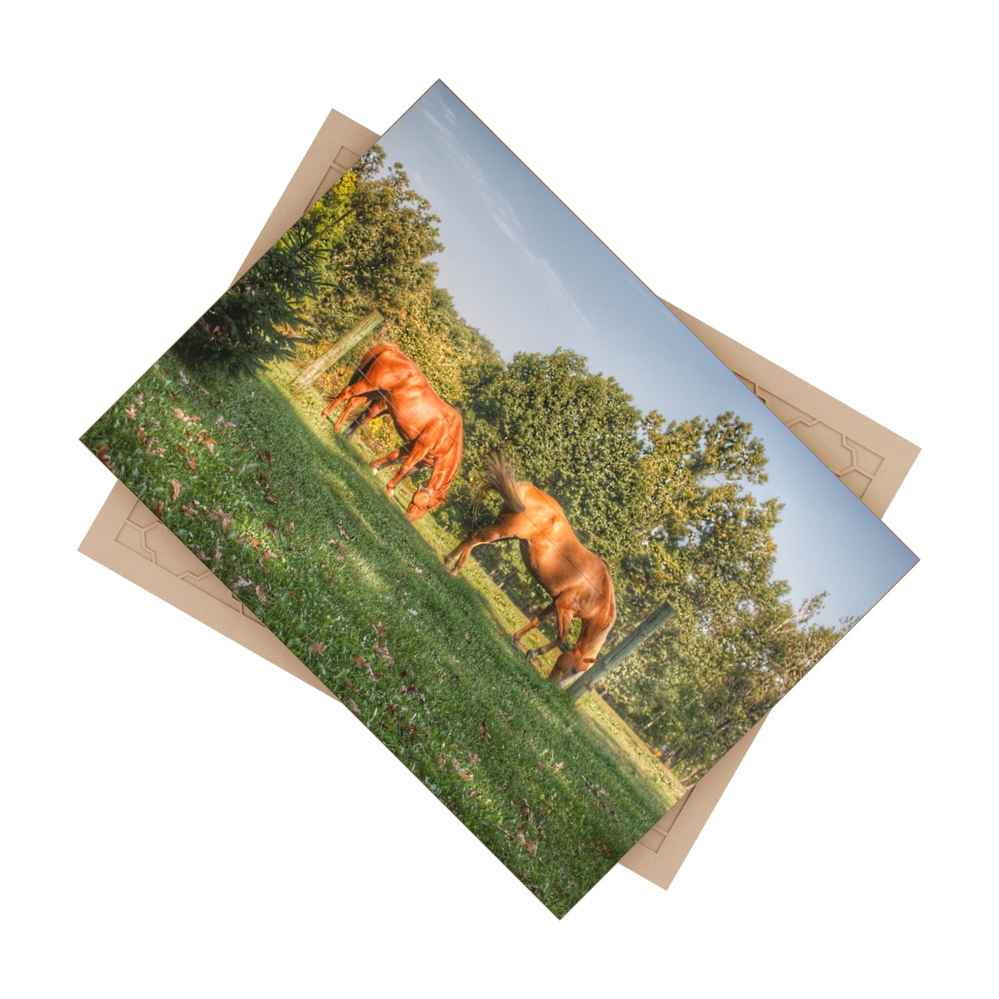 U R There Photography Caramel Horses Rustic Farmhouse Decorative Ceramic Tile