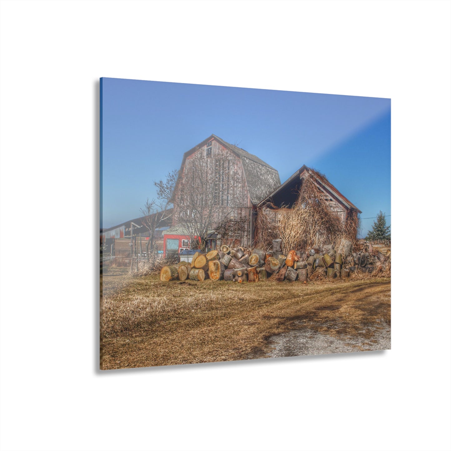 U R There Photography Dutcher Road Grey Rustic Farmhouse Acrylic Wall Print