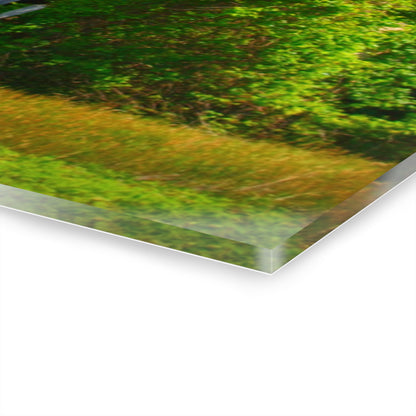 U R There Photography Mushroom Road Red and Silo Rustic Farmhouse Acrylic Wall Print