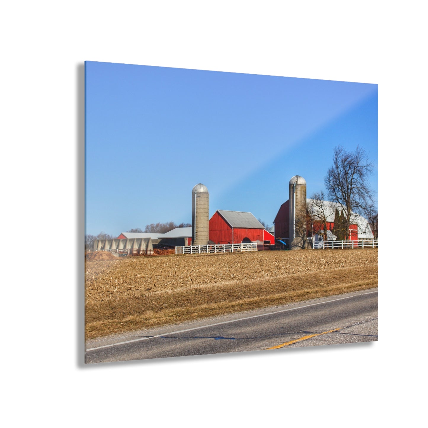 U R There Photography Marlette Reds Rustic Farmhouse Acrylic Wall Print