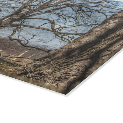 U R There Photography Hill Road Red Rustic Farmhouse Tempered-Glass Cutting Board