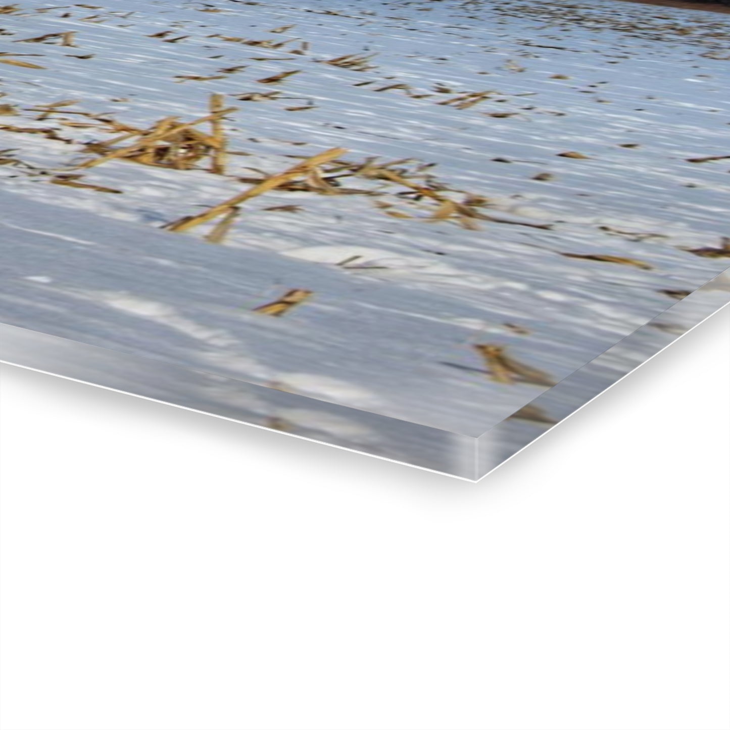 U R There Photography Across Barnes Road Frozen Cornfield Rustic Farmhouse Acrylic Wall Print