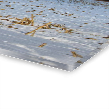 U R There Photography Across Barnes Road Frozen Cornfield Rustic Farmhouse Acrylic Wall Print