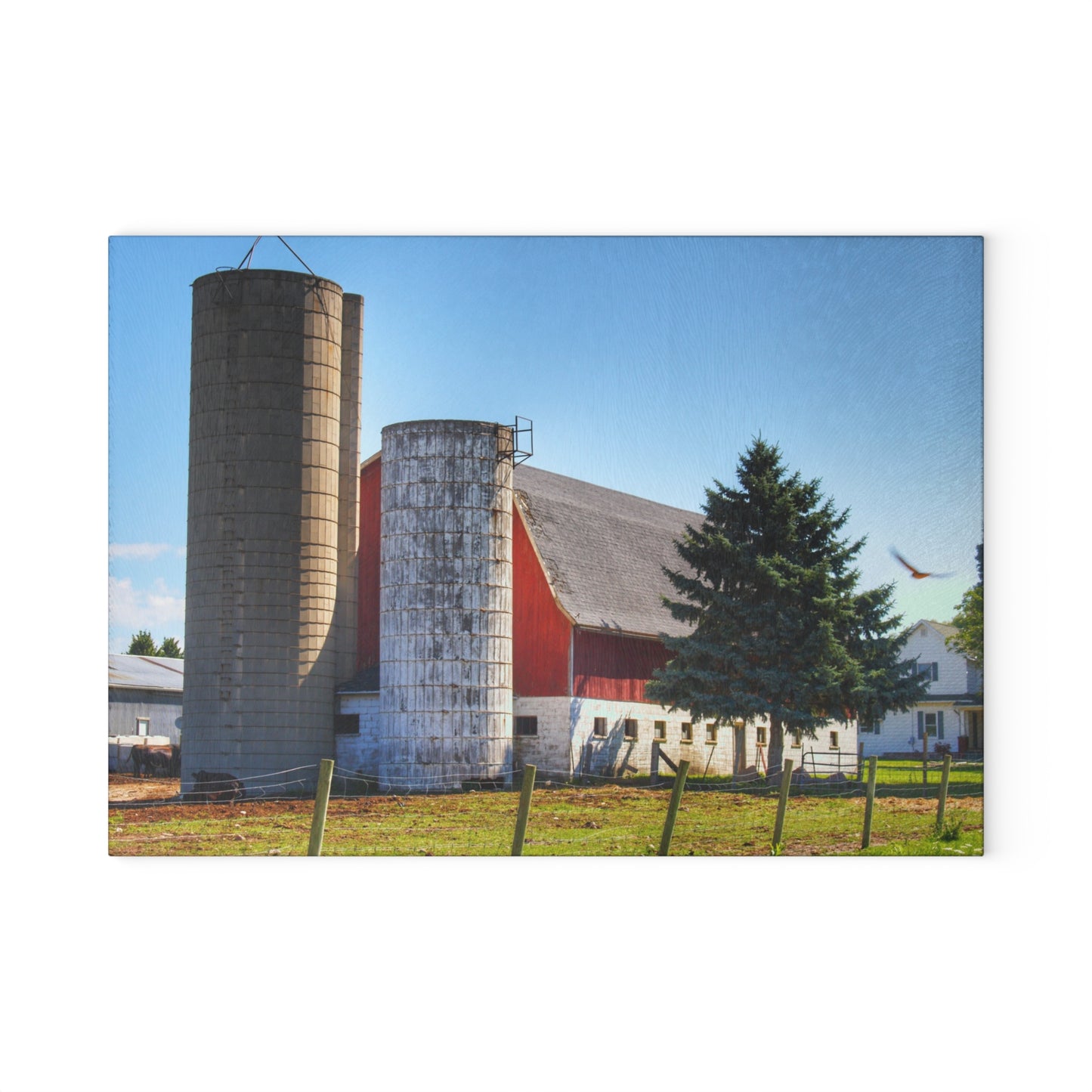 U R There Photography Hunters Creek Road Cow Barn I Rustic Farmhouse Tempered-Glass-Cutting Board