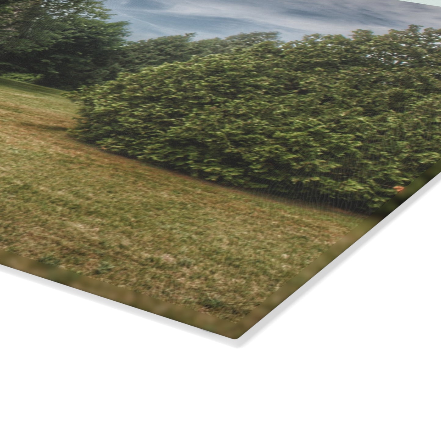 U R There Photography Thistle Valley Weathered Grey Rustic Farmhouse Tempered-Glass Cutting Board