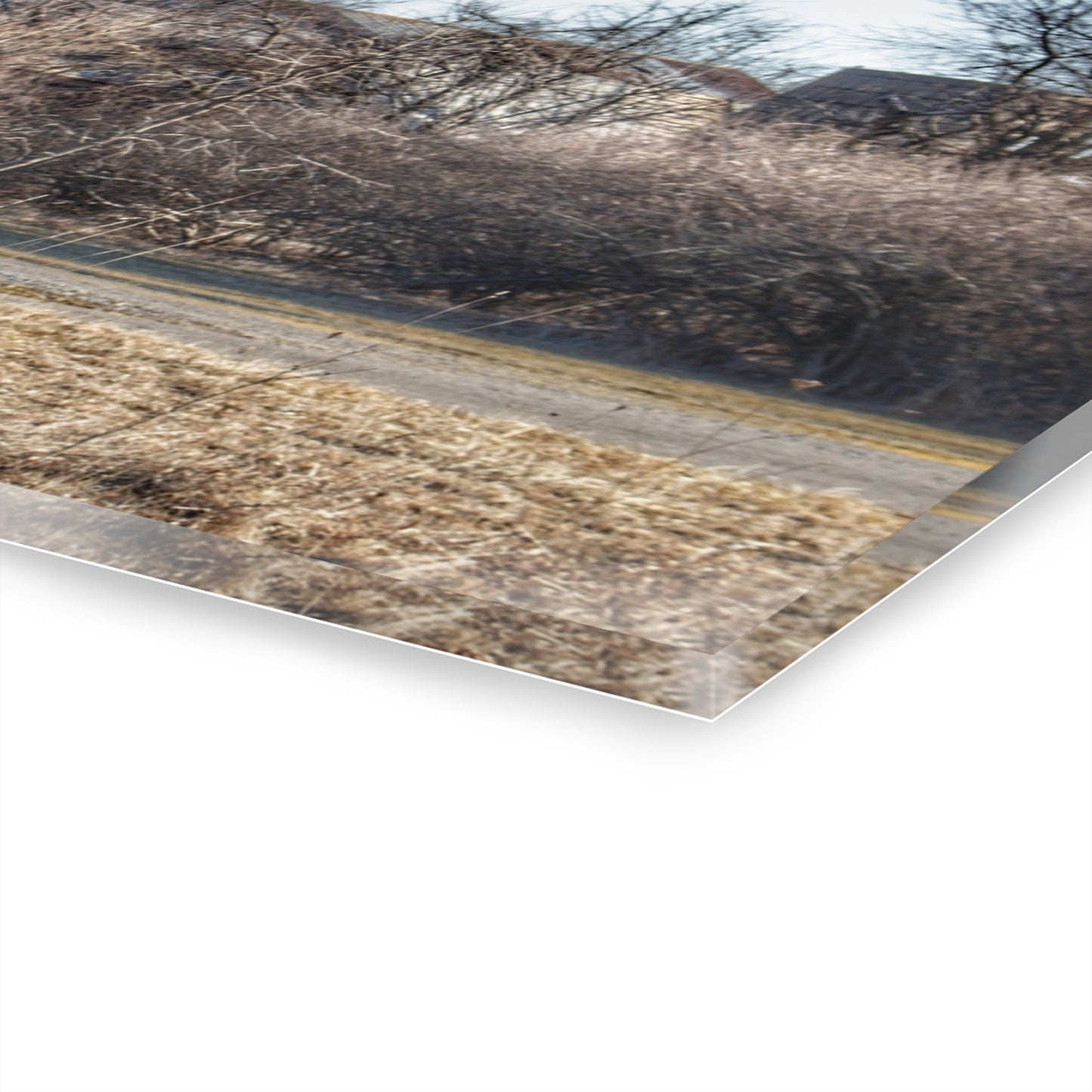 U R There Photography Weyer Road Hidden Rustic Farmhouse Acrylic Wall Print