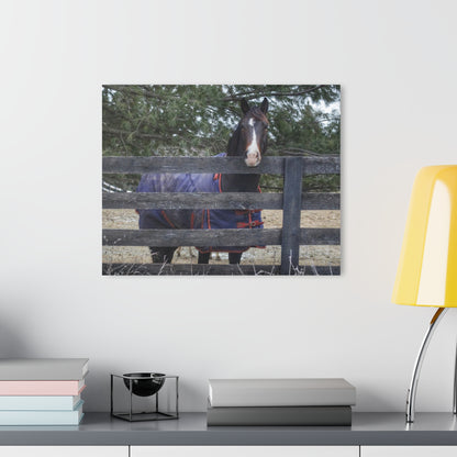 Barn Boutique Modern Farmhouse Acrylic Wall Print| Hosner Road Chestnut