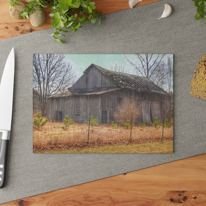 U R There Photography Leix Road Forgotten Grey I Rustic Farmhouse Tempered-Glass Cutting Board