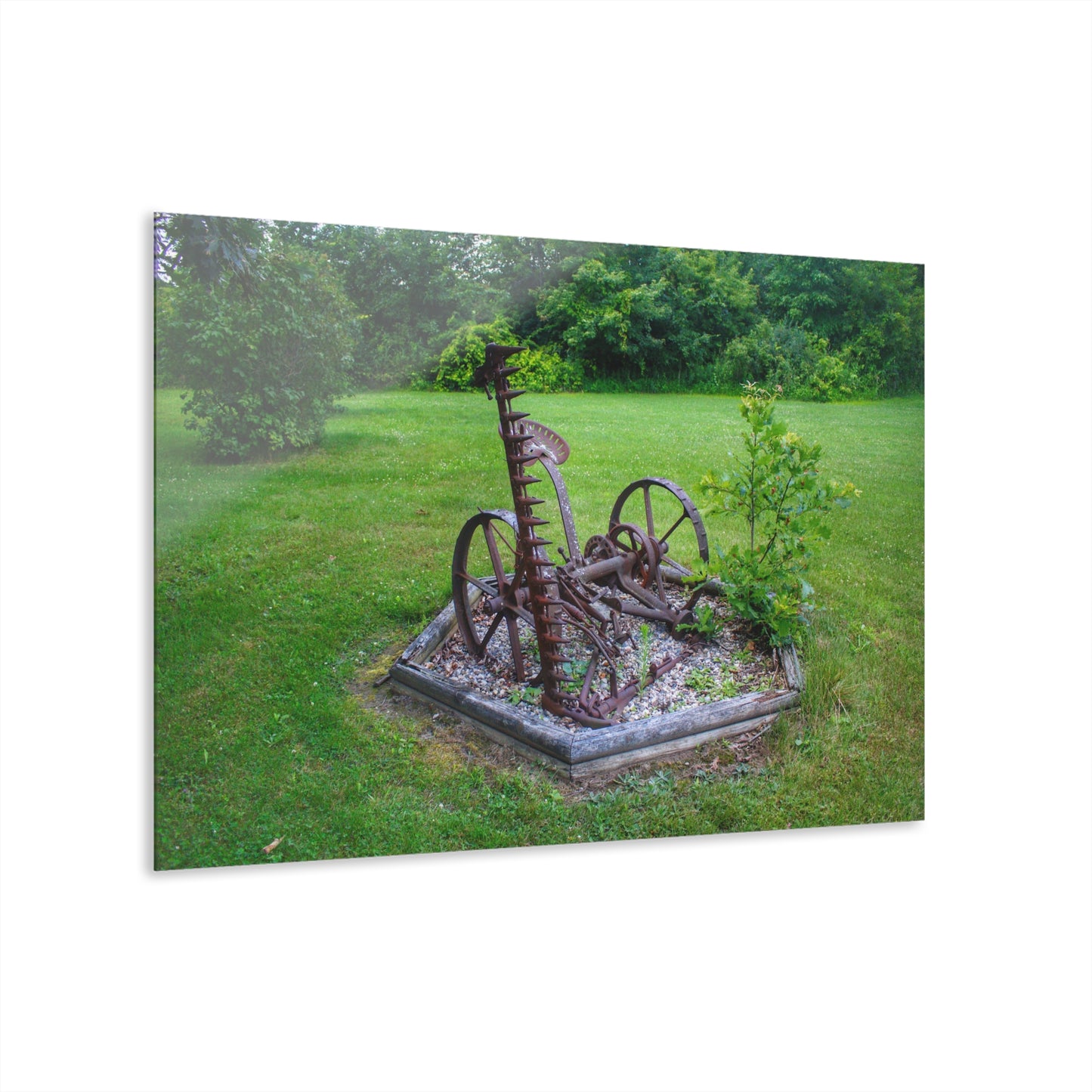 U R There Photography Farm Yard Art Rustic Farmhouse Acrylic Wall Print