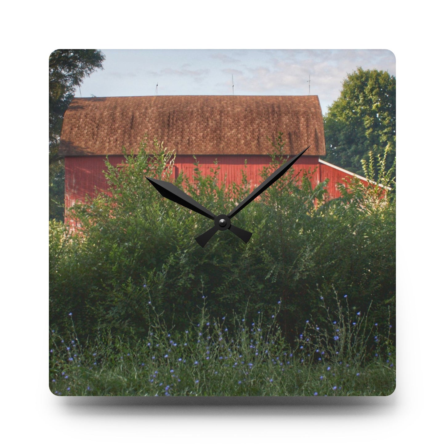 U R There Photography Genesee Road Red I Rustic Farmhouse Acrylic Analog Wall Clock
