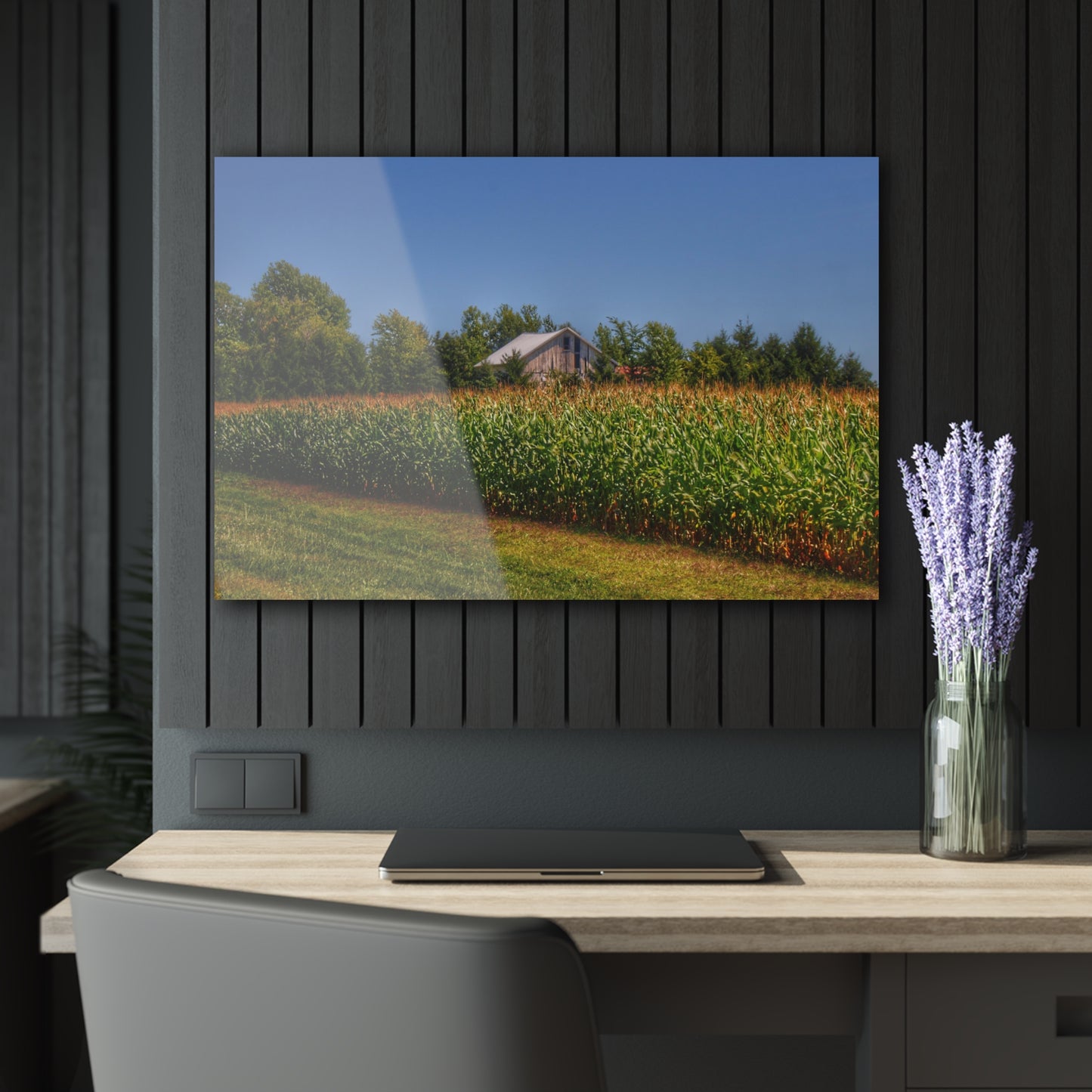 U R There Photography Beyond the Corn on Birch Road Run Rustic Farmhouse Acrylic Wall Print 14 "x 11
