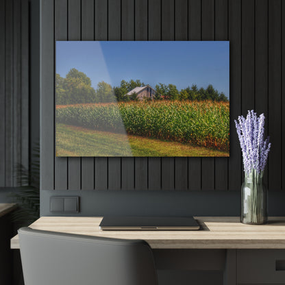 U R There Photography Beyond the Corn on Birch Road Run Rustic Farmhouse Acrylic Wall Print 14 "x 11