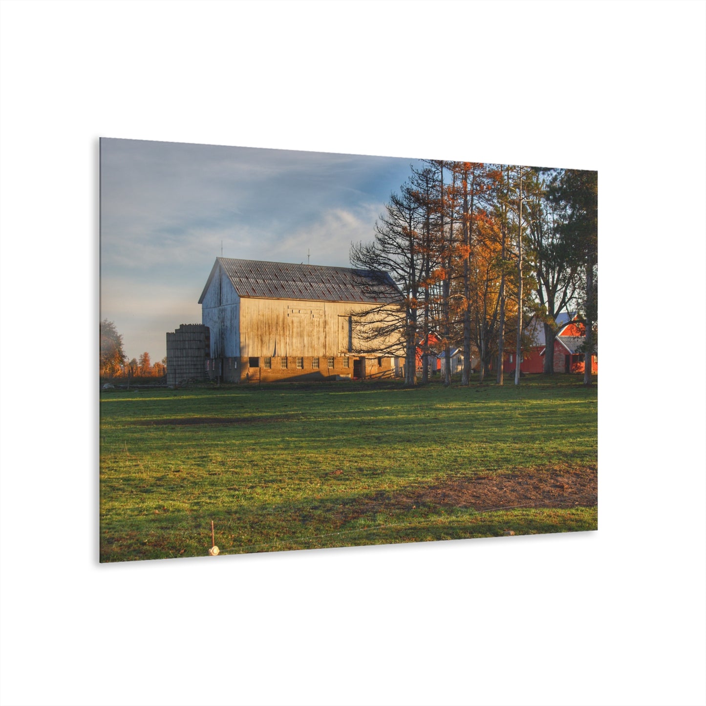 U R There Photography Peck Road White Rustic Farmhouse Acrylic Wall Print