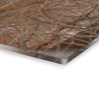 U R There Photography Hough Road Hidden Winter Red I Rustic Farmhouse Acrylic Wall Print