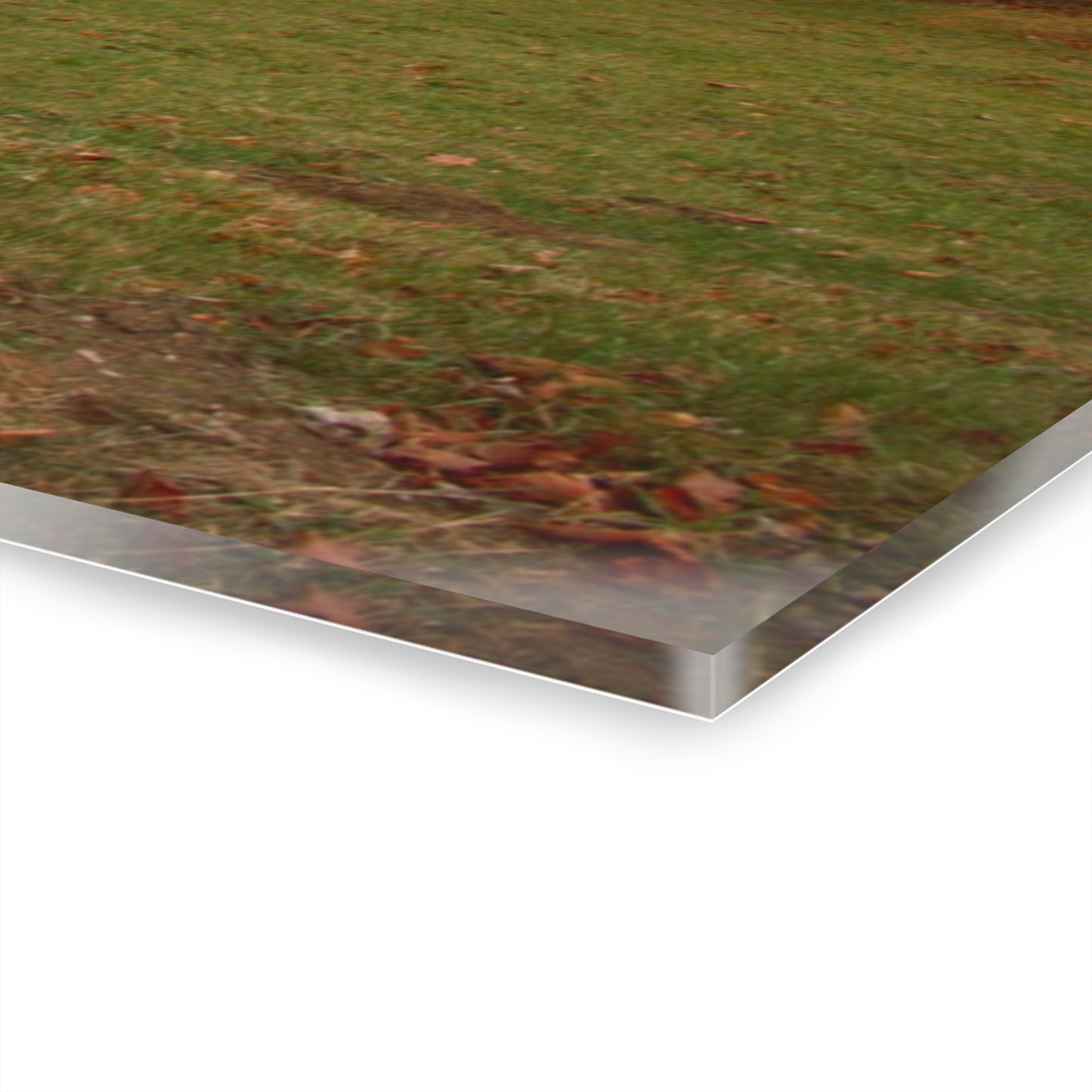 U R There Photography Roadside Greys of Carsonville Rustic Farmhouse Acrylic Wall Print