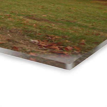 U R There Photography Roadside Greys of Carsonville Rustic Farmhouse Acrylic Wall Print