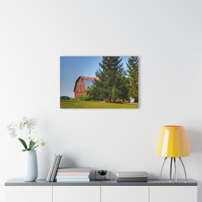 U R There Photography Mushroom Road Hidden Red Rustic Farmhouse Acrylic Wall Print