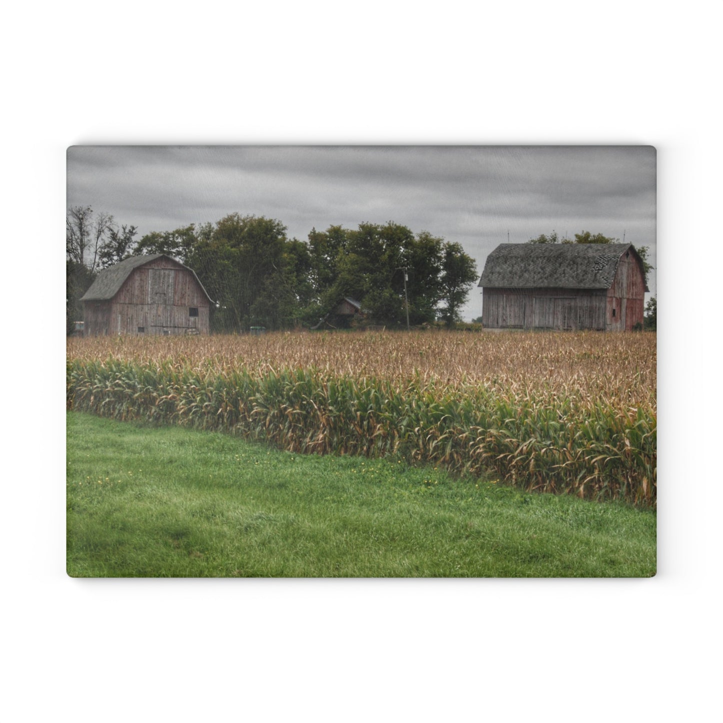 U R There Photography East Caro Road Reds Rustic Farmhouse Tempered-Glass Cutting Board